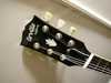 orville by gibson 3.jpg